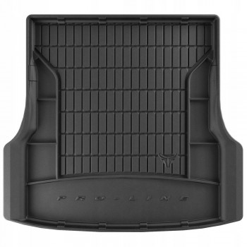 Tapijt stam Tesla Model S (2012-)