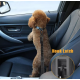 Belt safety dog adjustable and elastic for car