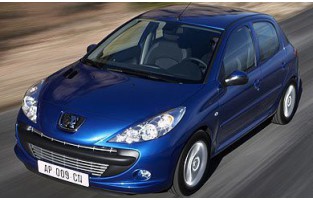 De dekking voor een Peugeot 206 (2009 - 2013)