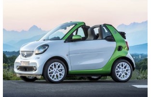 Smart Fortwo EQ (2017 - current) economical car mats