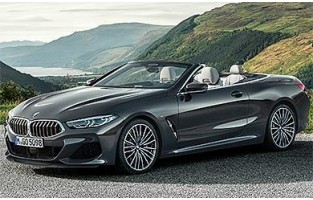 Bmw Series 8 G14 Cabriolet (2018 - current) car cover