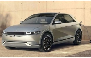 Rugs gray Hyundai Ioniq 5 (2021-present)