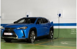 Tailored suitcase kit for Lexus UX