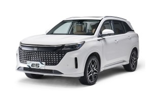 DFSK E5 (2024 - ) auto beschermhoes
