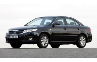Emmer stam Kia Bovendien,